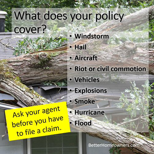 What does your policy cover
