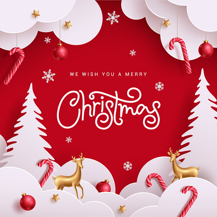 We Wish You a Merry Christmas